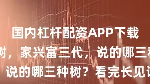 国内杠杆配资APP下载 门前有三树，家兴富三代，说的哪三种树？看完长见识了